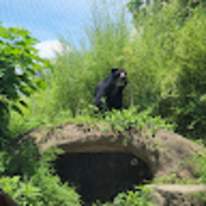 Meet your Posher, Tisha